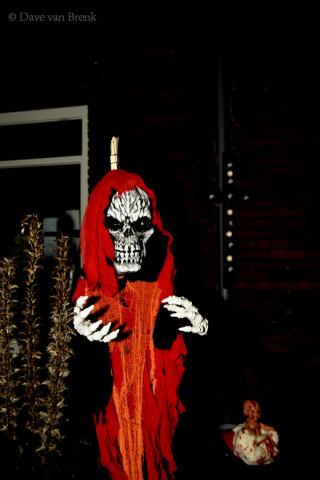Halloween 29-10-2023 Waterkwartier (10)