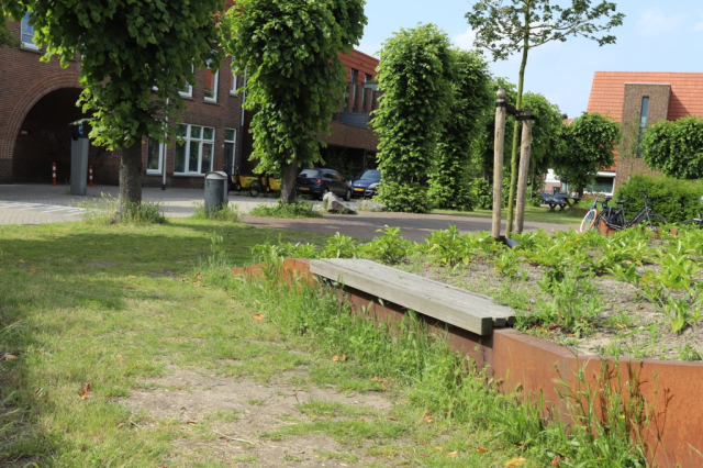 N1 (1)